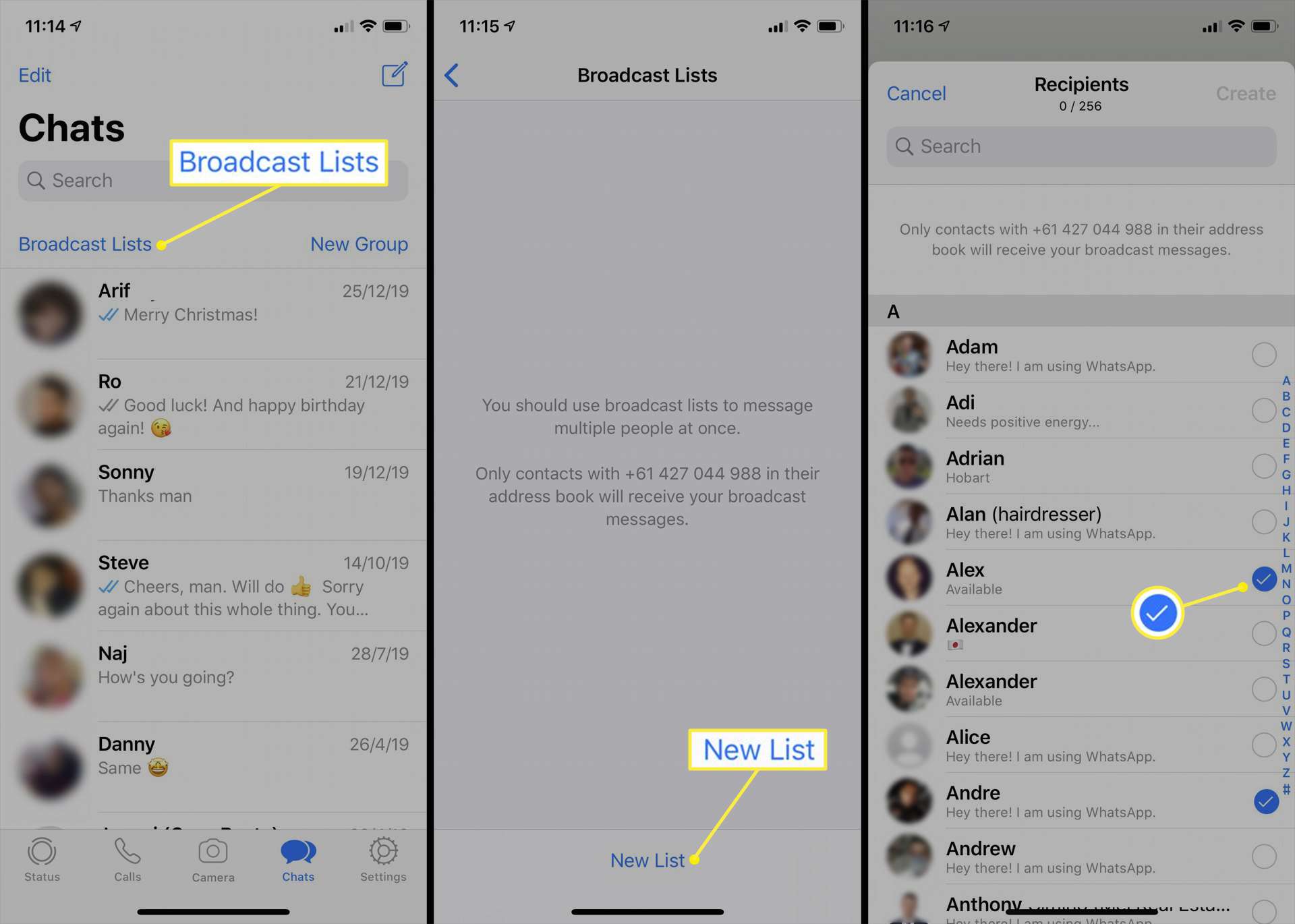 whatsapp business