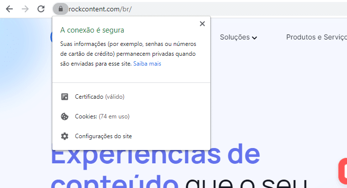 análise de site