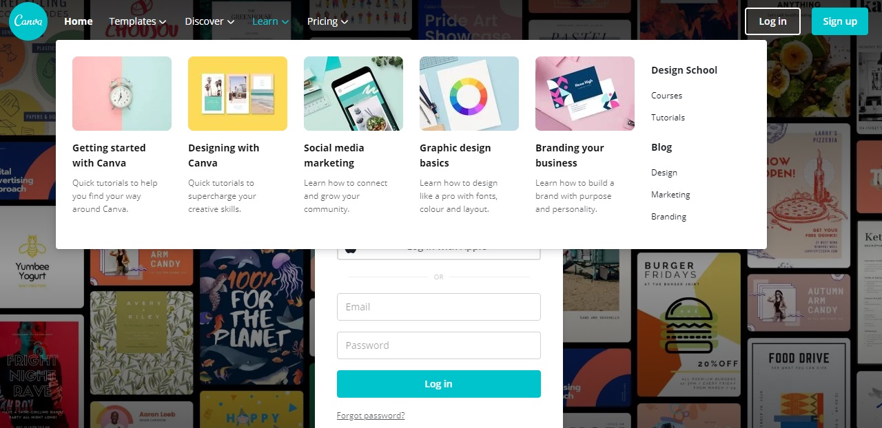 canva learn