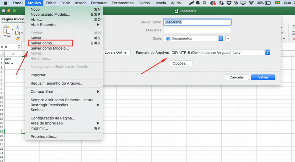CSV 3