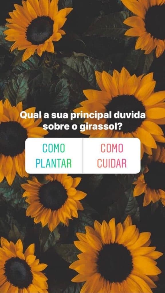 Exemplo de engajamento nos Stories do Instagram