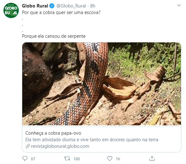 Globo Rural