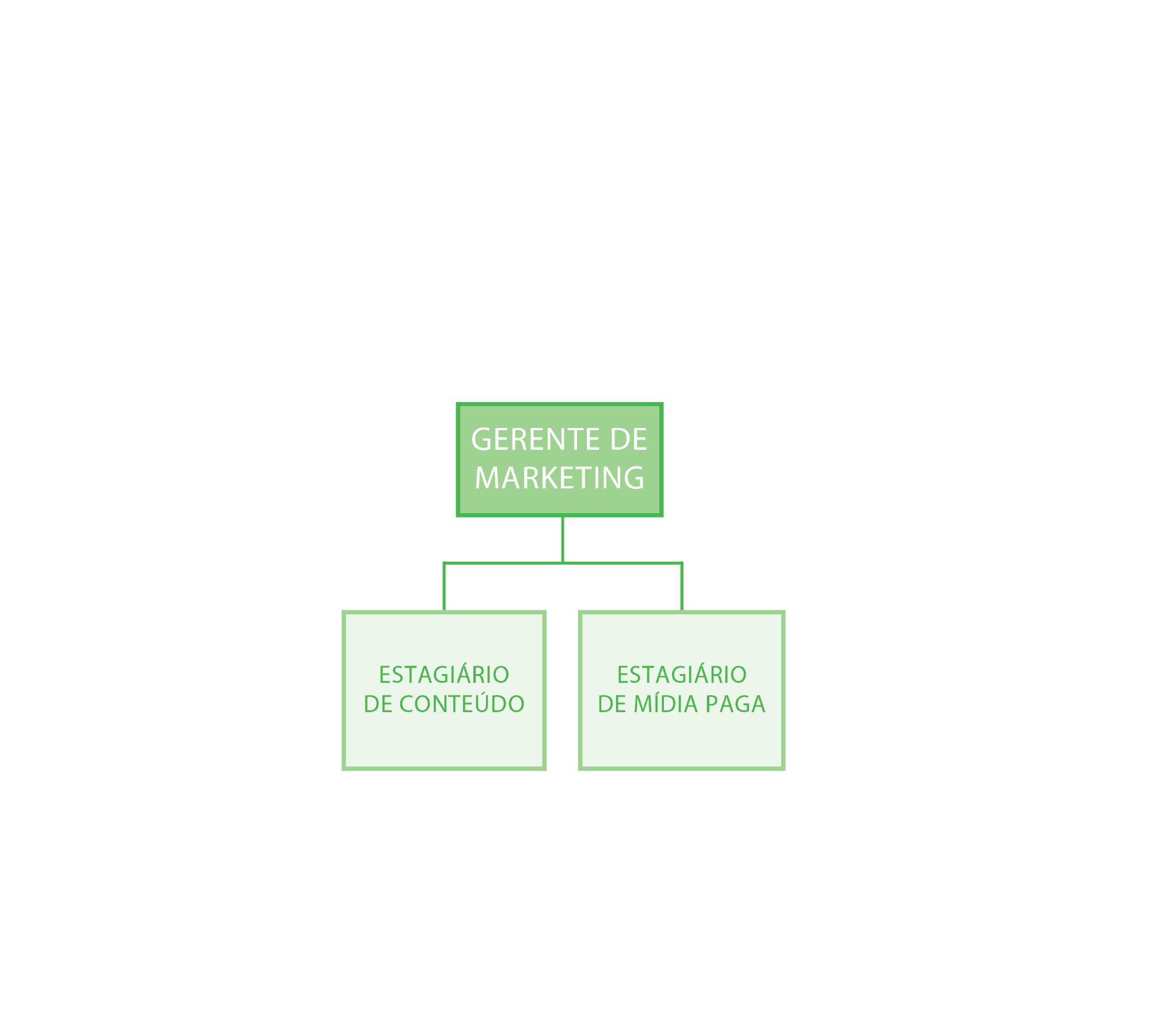 Estrutura equipe de marketing Xerpa