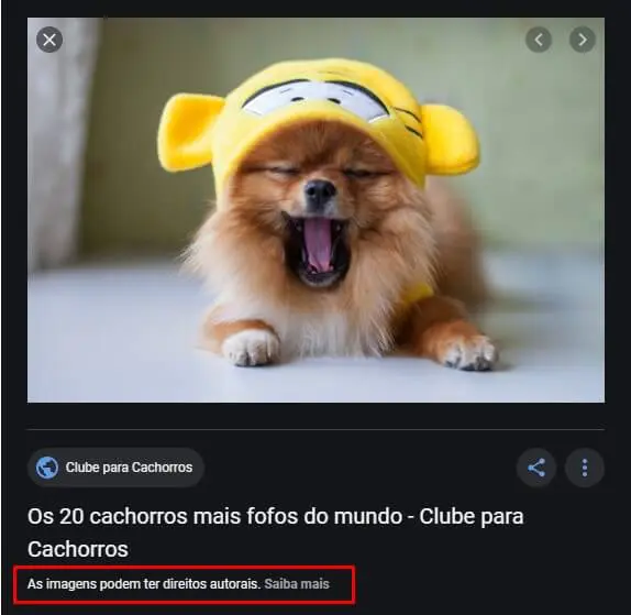 Imagem com direito autoral