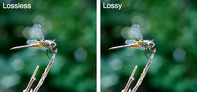 lossless vs lossy - optimize images for web