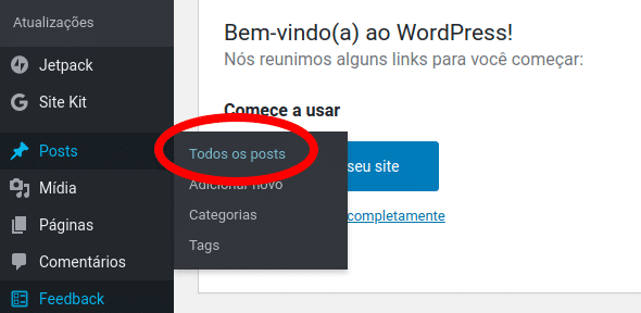 Todos os posts no WordPress