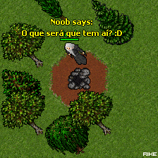 tibia spider