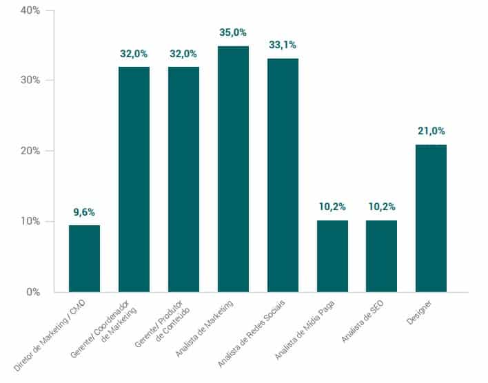 Composição dos times de marketing em empresas com mais de 100 funcionários